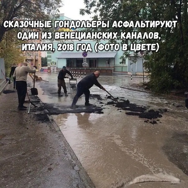 мемы