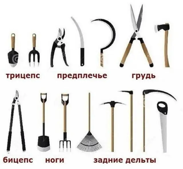 Смешные картинки с текстом