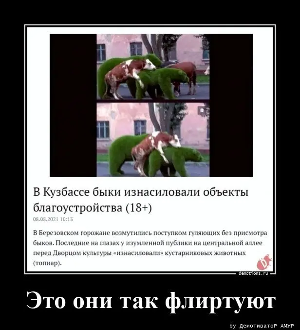 Демотиваторы для взрослых