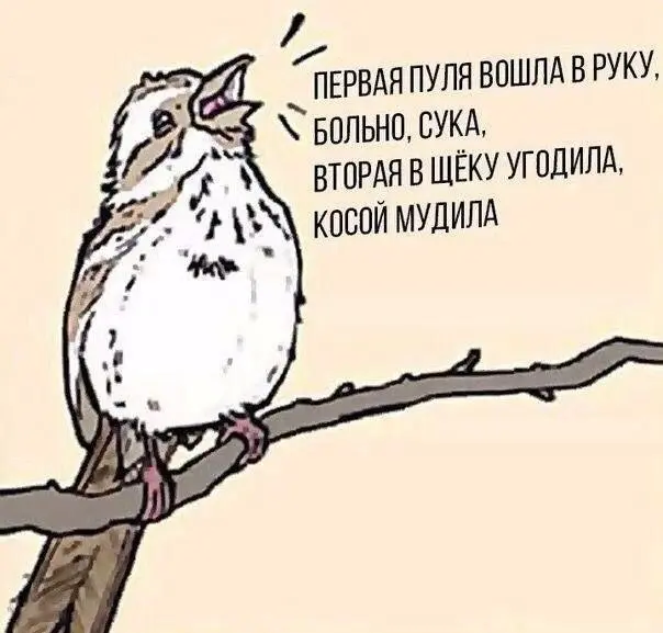 мемы