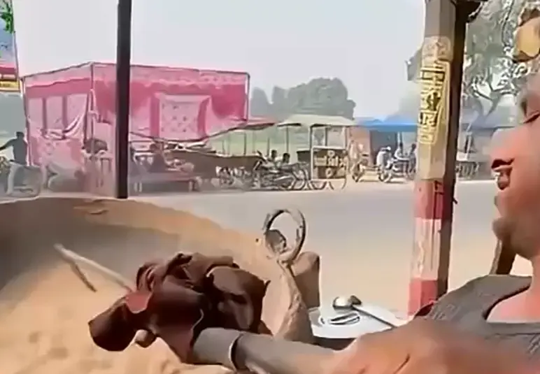Картофель в песке⁠⁠