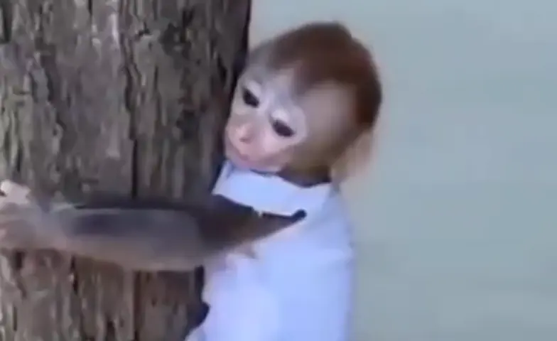 После психотерапии