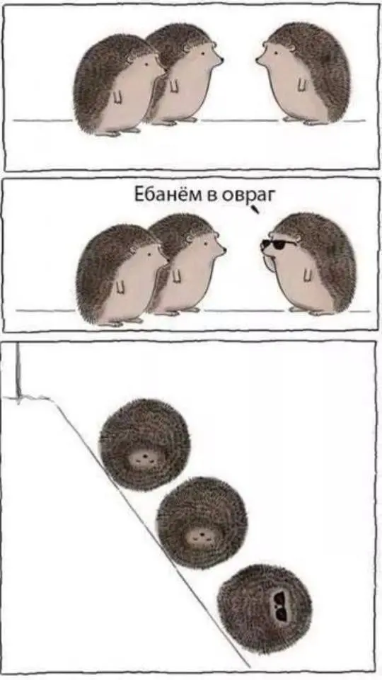 мемы