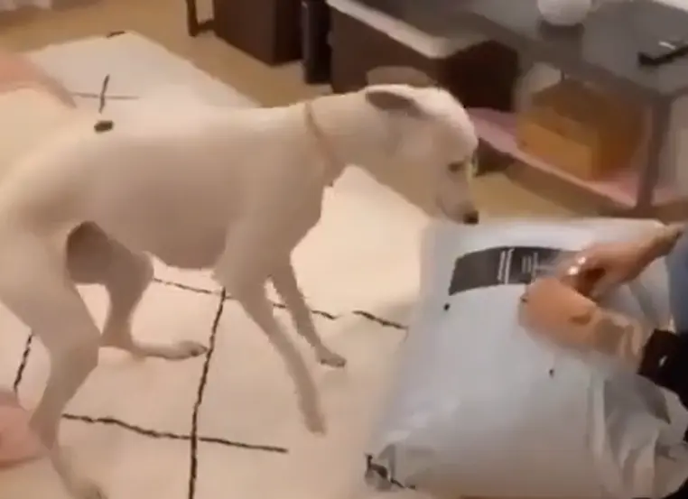 Это мне? Это моё!⁠⁠