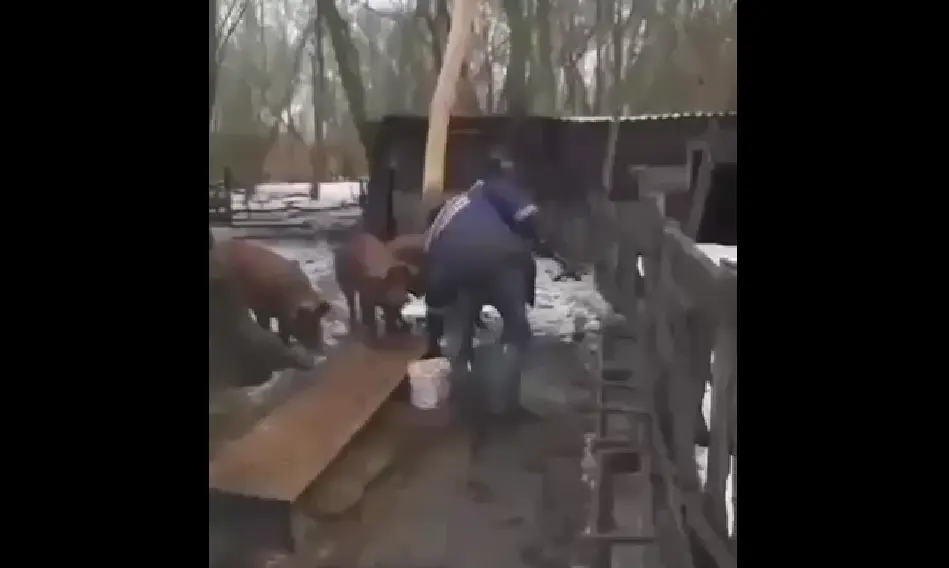 Держать строй!⁠⁠