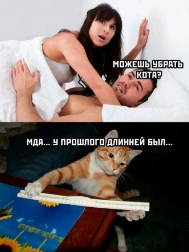 Картинки для хорошего настроения
