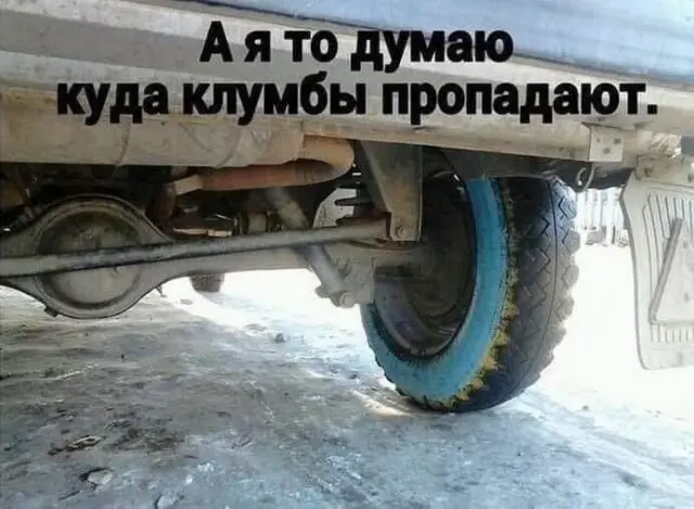 приколы