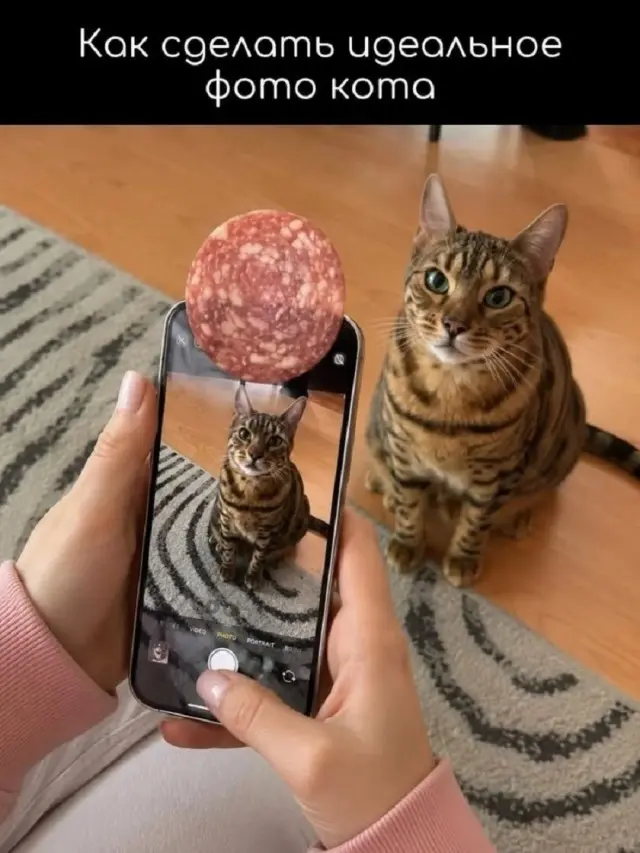 Юморок