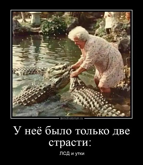 Демотиваторы для взрослых