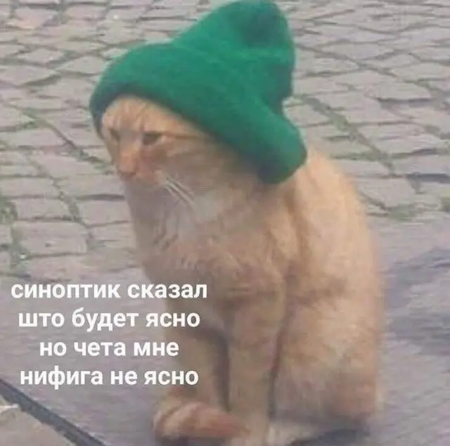 мемы