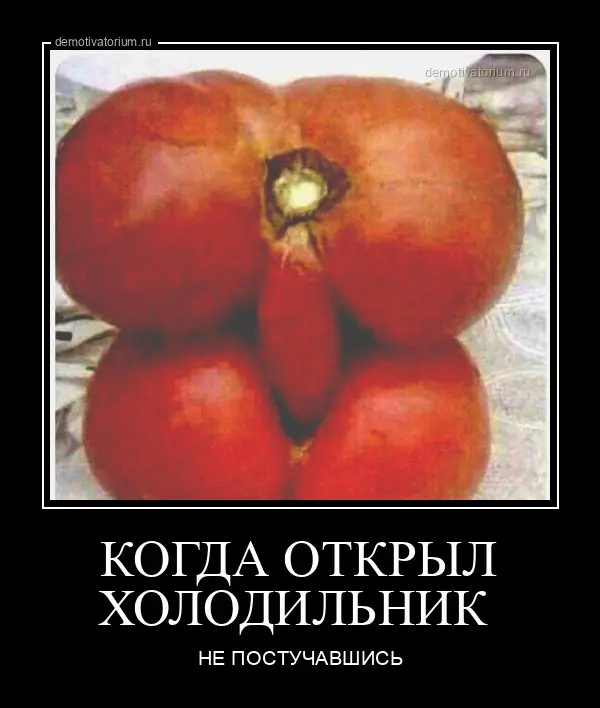 Демотиваторы для взрослых