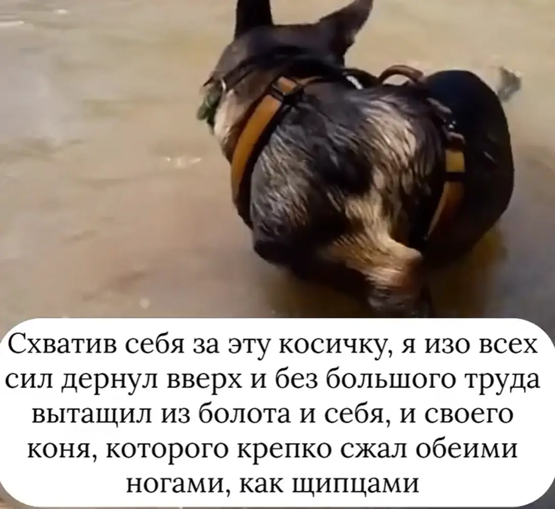 Барон Мюнхгаузен⁠⁠