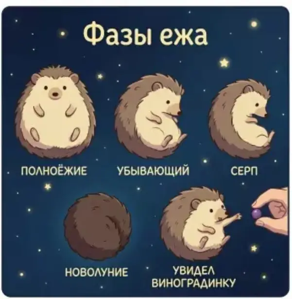 Веселые картинки