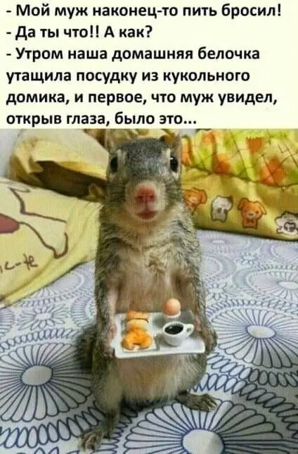 приколы