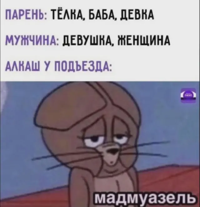 приколы