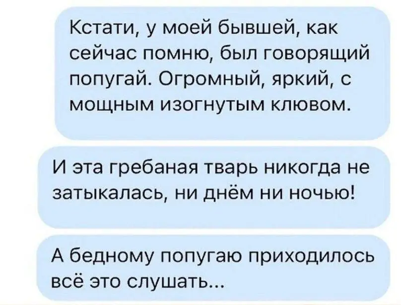 Попугай бывшей