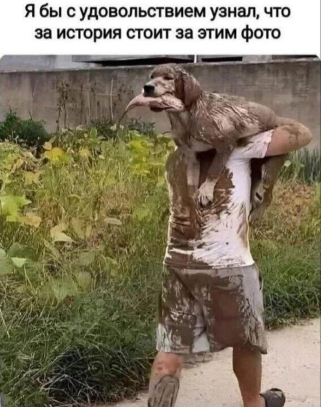 Новы мемы