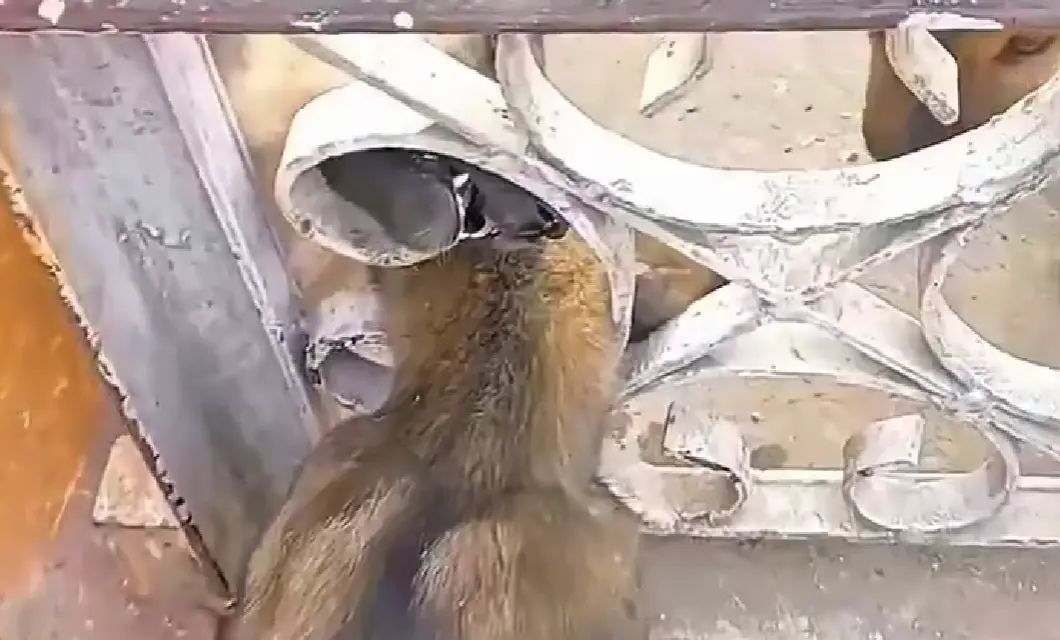 Ему помогали абсолютно все