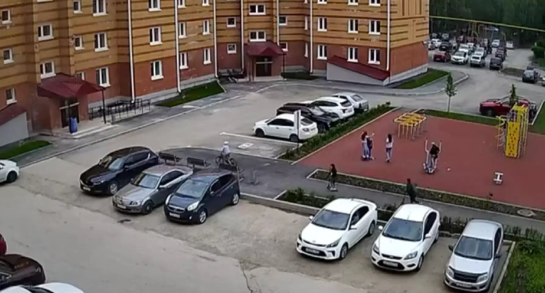 С дороги, щенки!