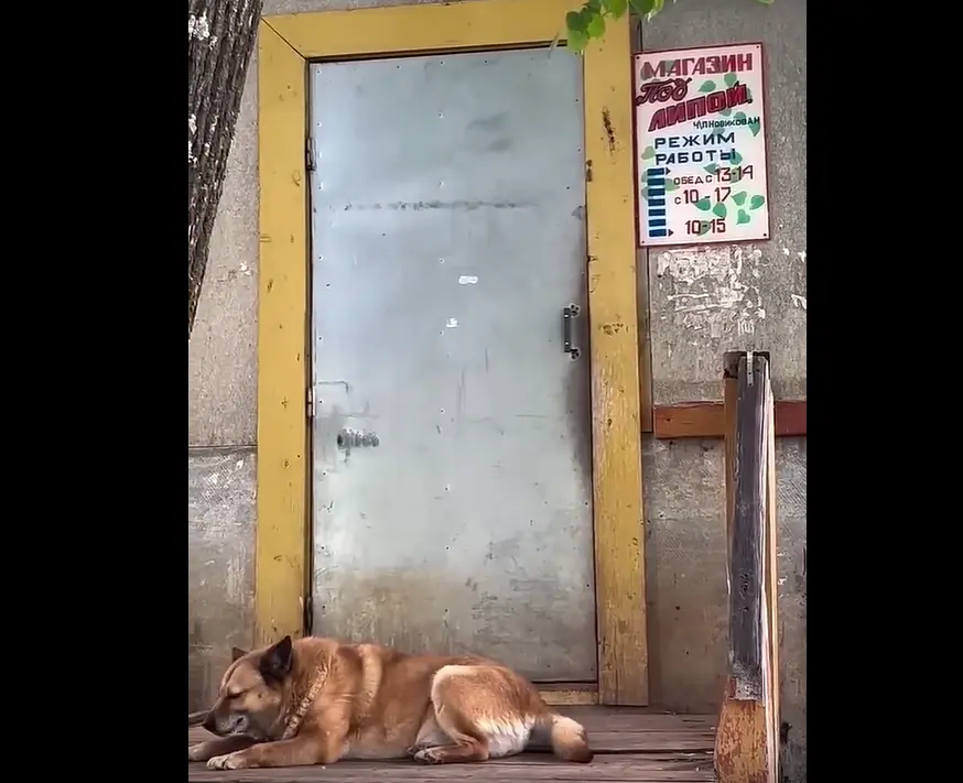Магазинчик⁠⁠
