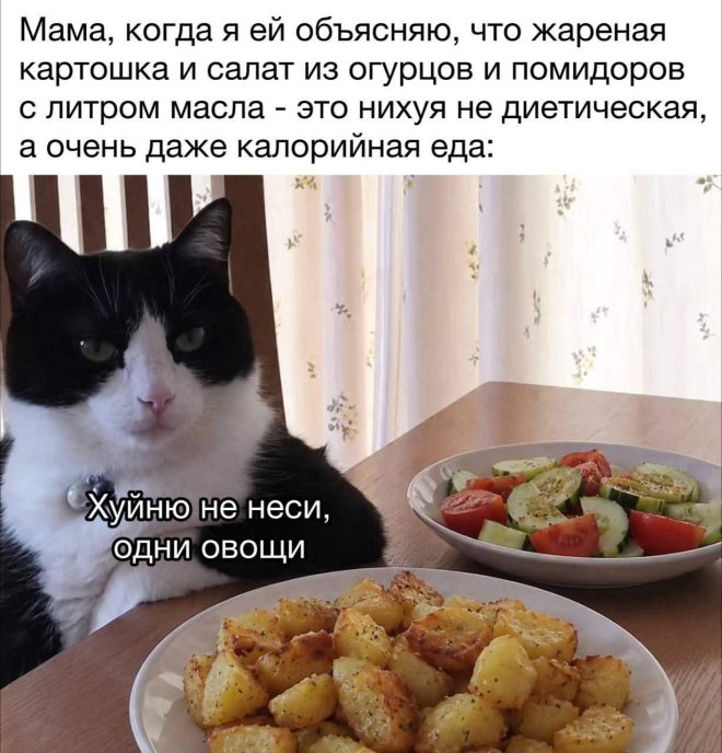Новы мемы