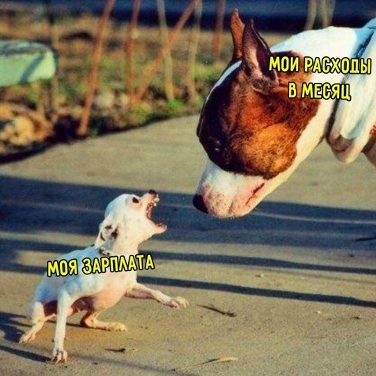Субботние мемы