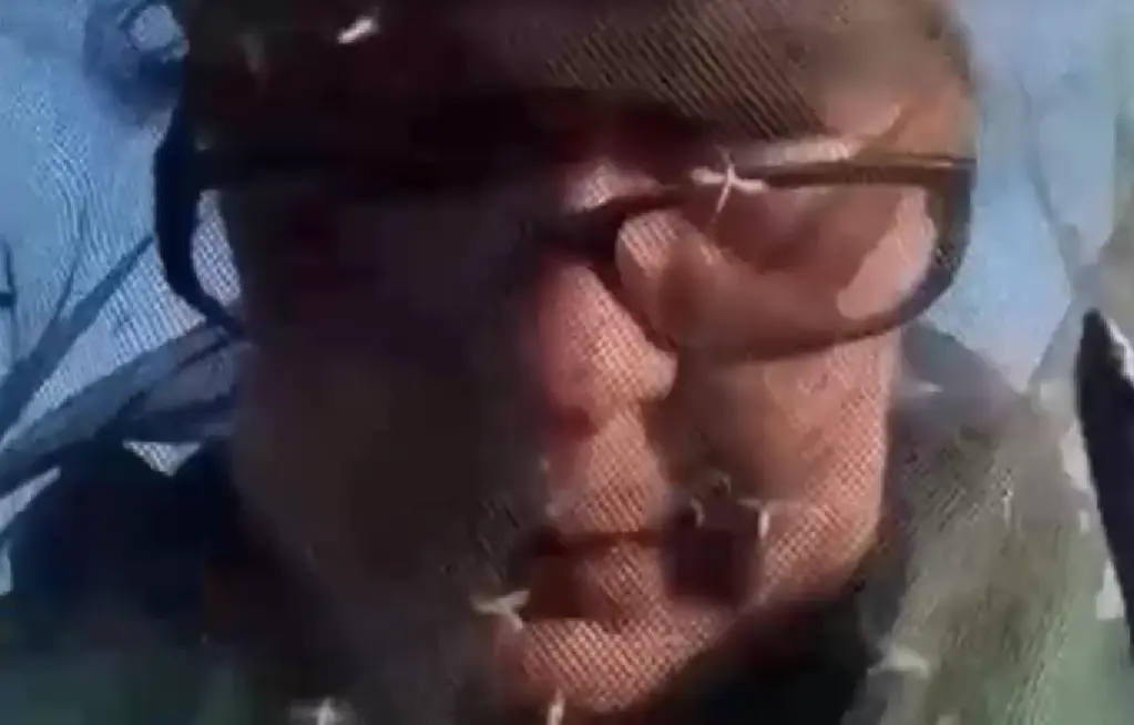 Комариный апокалипсис добрался до Алтайского края