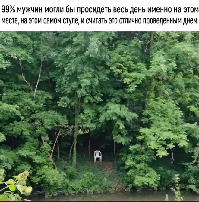 мемы