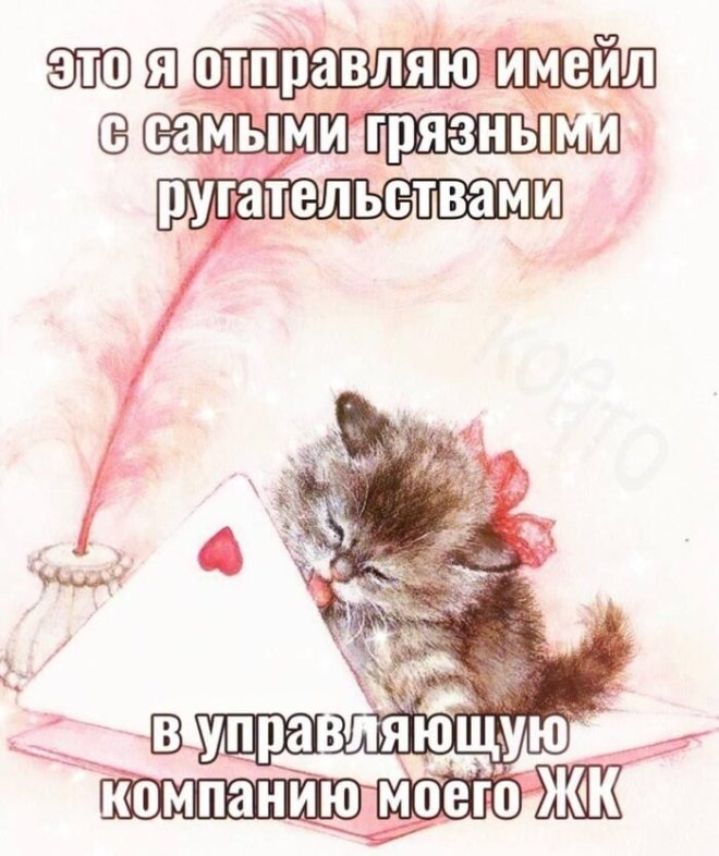 Новы мемы