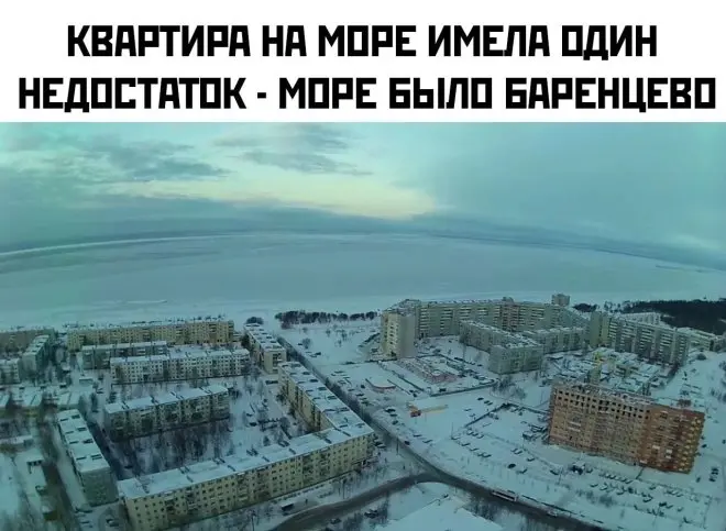 мемы