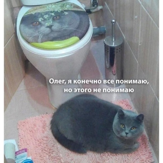 Субботние мемы