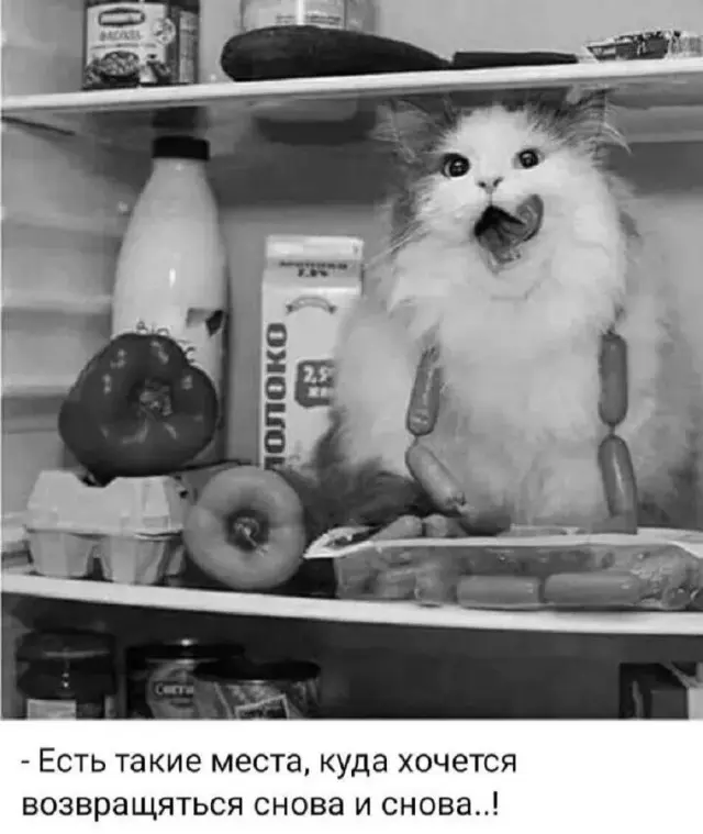 Юморок