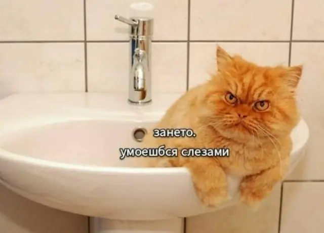Вечерние приколы в картинках (30 фото)
