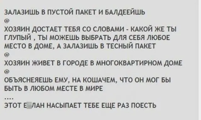 подборка мемов