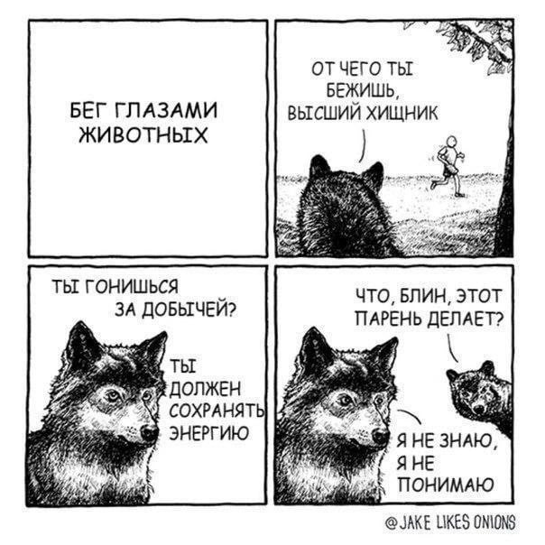 Субботние мемы