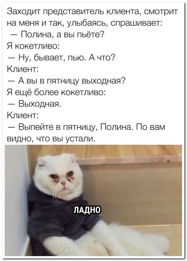 Вечерние мемы