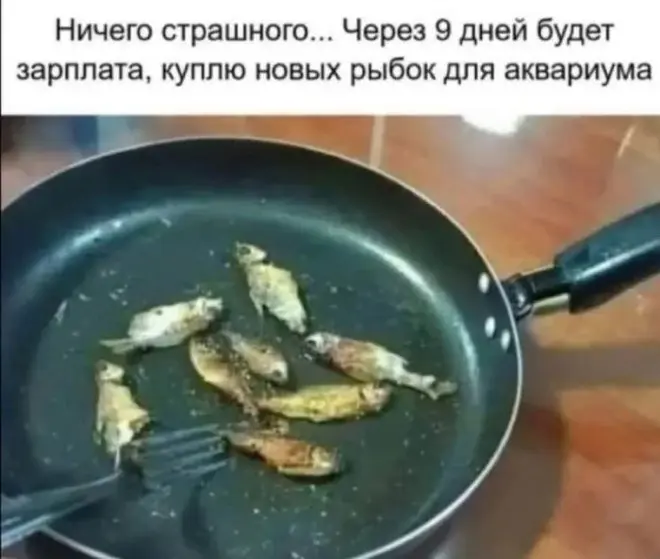 Новые мемы