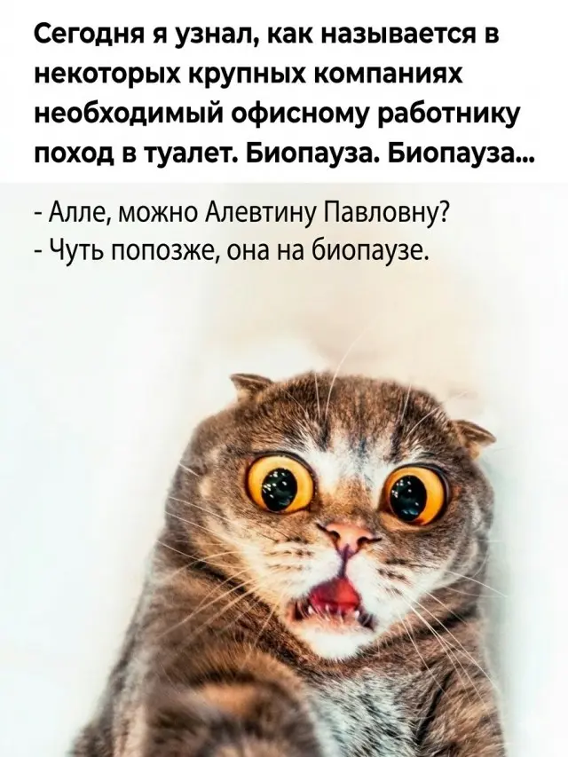 Юмор