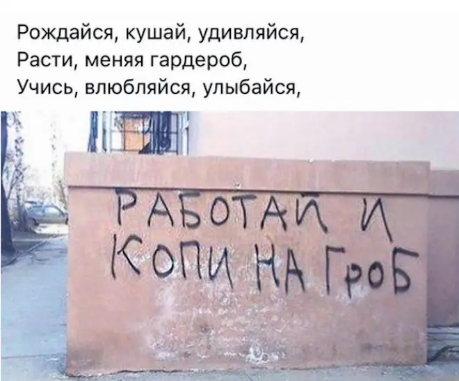 Новые мемы