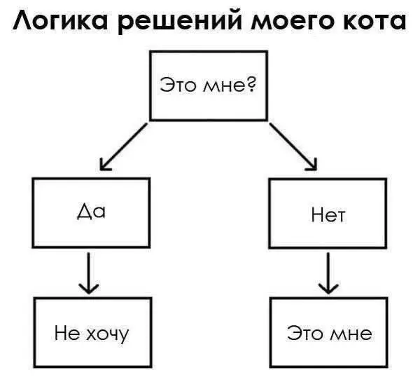 мемы
