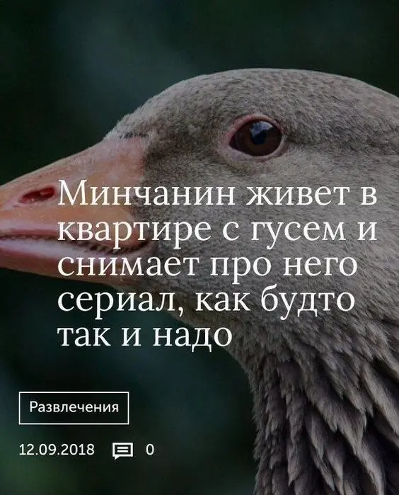 подборка мемов
