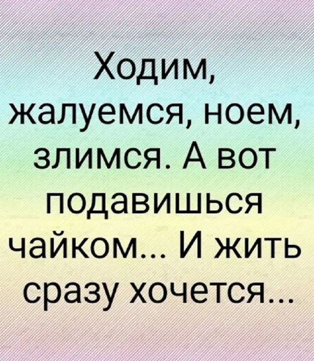 приколы