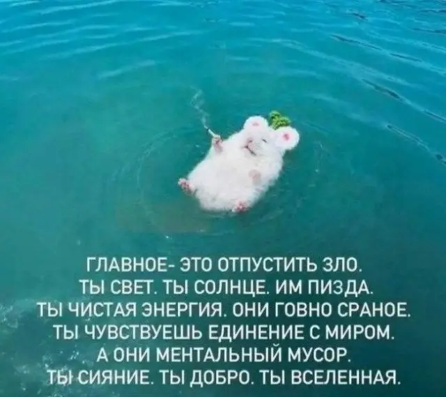 Веселые картинки