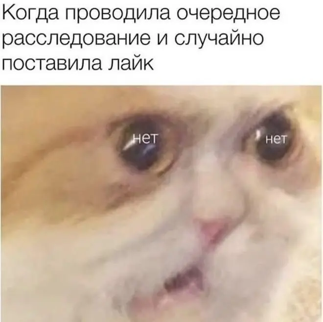 Новые мемы
