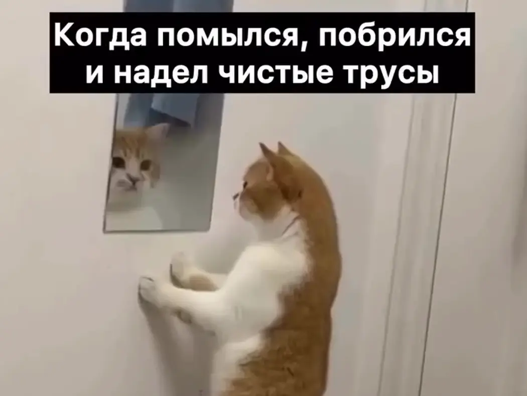 Как будто себя идентифицирует)