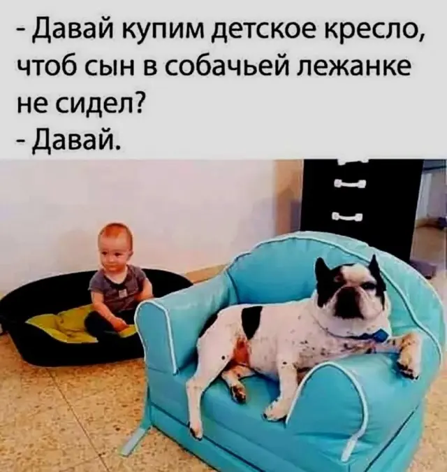 приколы