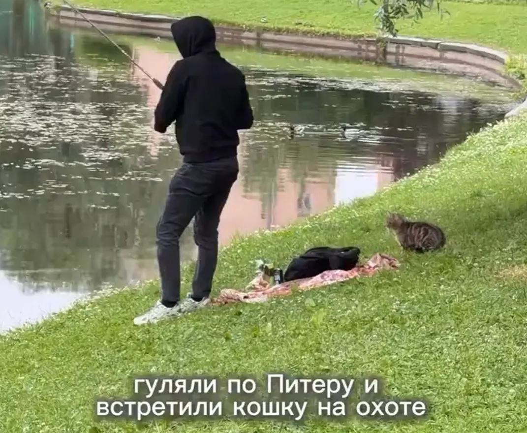Какая она побежала радостная