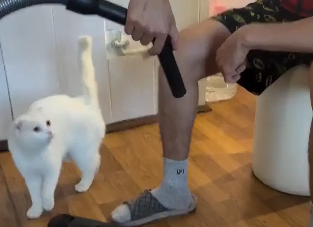 Засосало приятное сосало