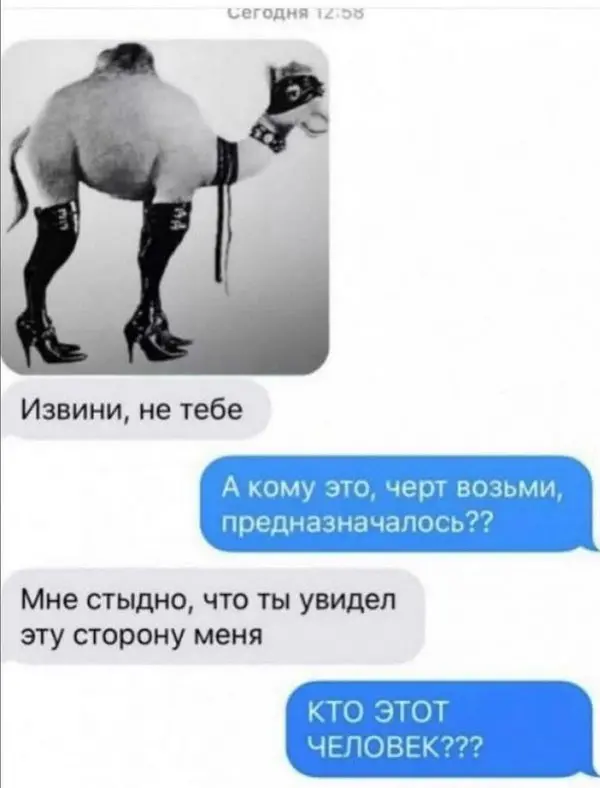 смешные переписки