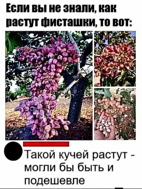 смешные переписки